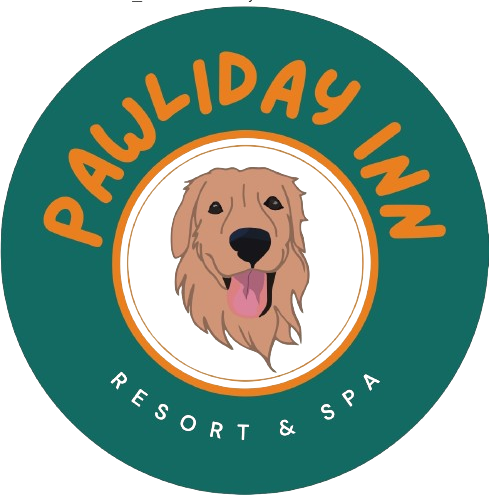 WhatsApp_Image_2023-11-29_at_6.30.21_PM-removebg-preview