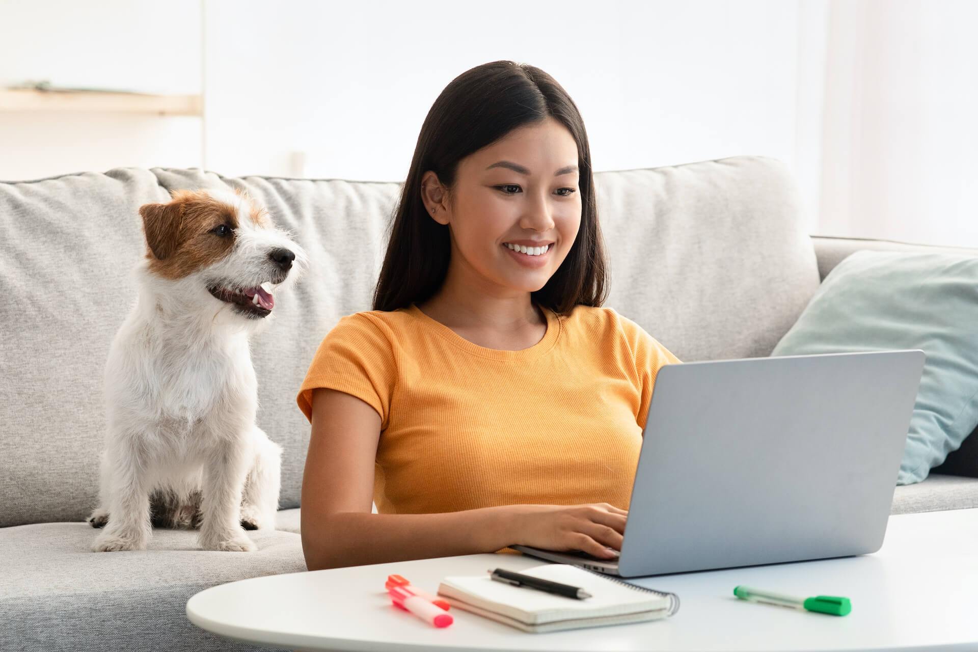 Dog Boarding Services Pawliday inn Bellahalli