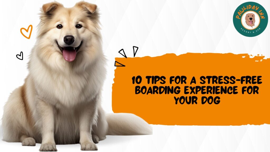 10 Tips for a Stress-Free Boarding Experience for Your Dog
