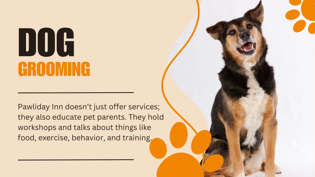 Dog Grooming Services in Bangalore