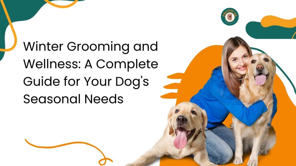 Best Dog Grooming Services in Bangalore | Pawliday Inn