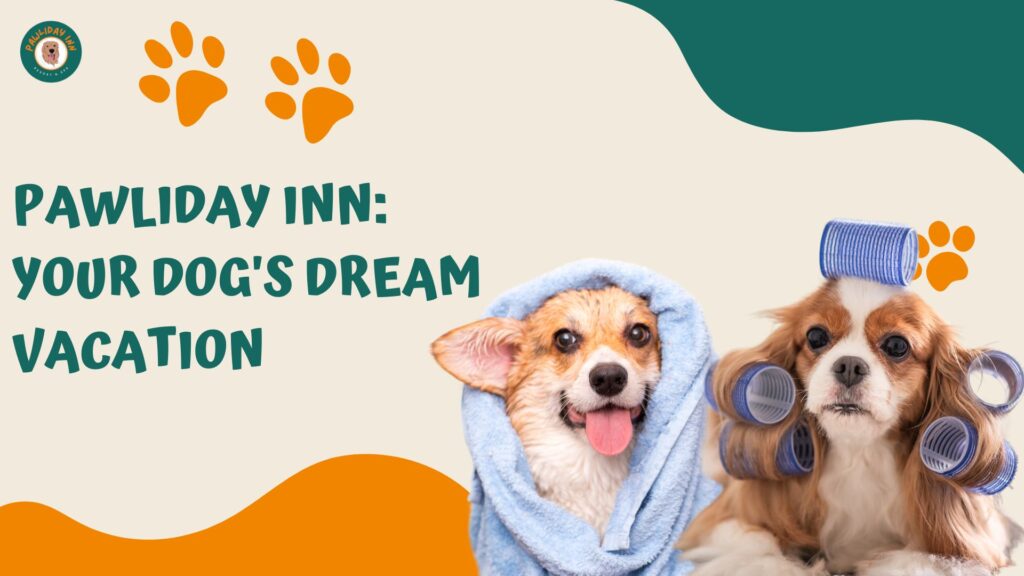 Dog Boarding Services In Bellahalli | Pawliday Inn