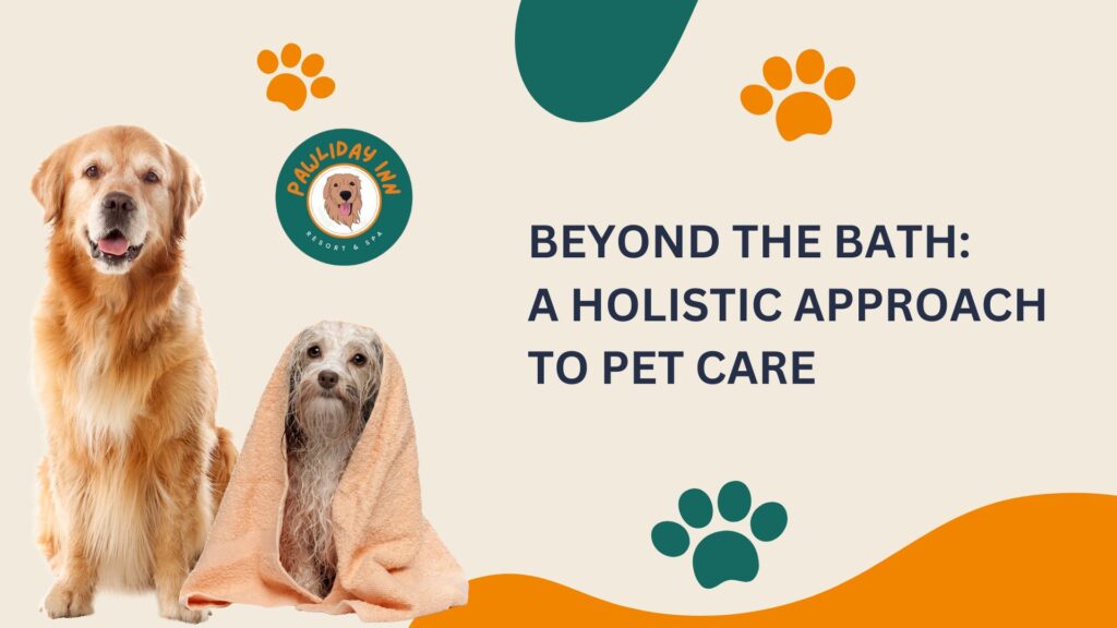 Dog Training Services In Bellahalli | Pawliday Inn