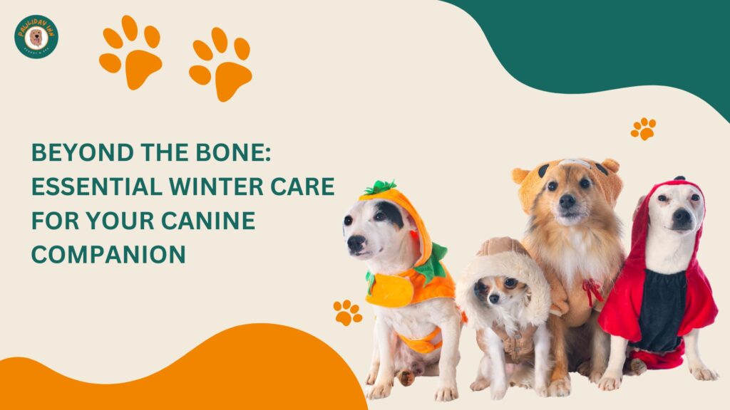 Dog Boarding In Bellahalli | Pawliday Inn