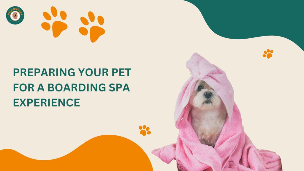 Dog Boarding Spa in Bellahalli | Pawliday Inn