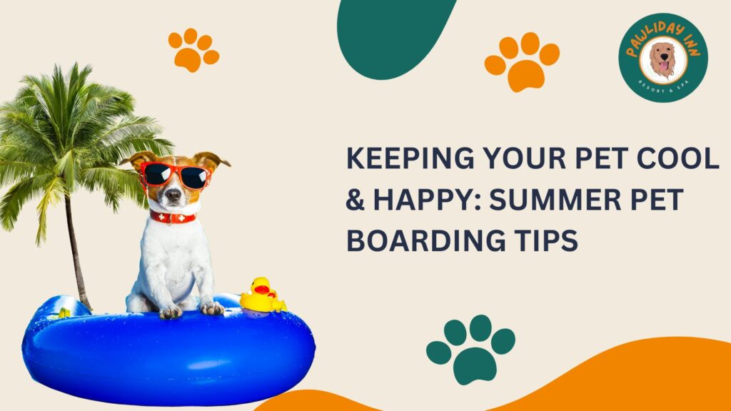 Summer Pet Boarding Tips | Pawliday Inn