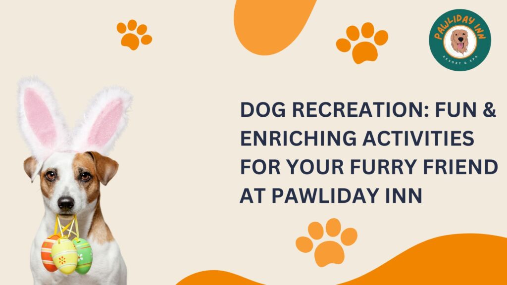 Dog Recreation Activities in Bellahalli | Pawliday Inn