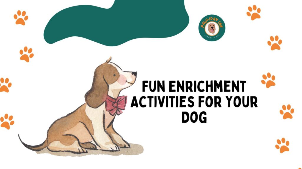 Dog Boarding in Bellahalli | Pawliday Inn