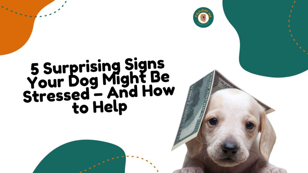 Dog Boarding Services In Bellahalli, Yalahanka | Pawliday Inn