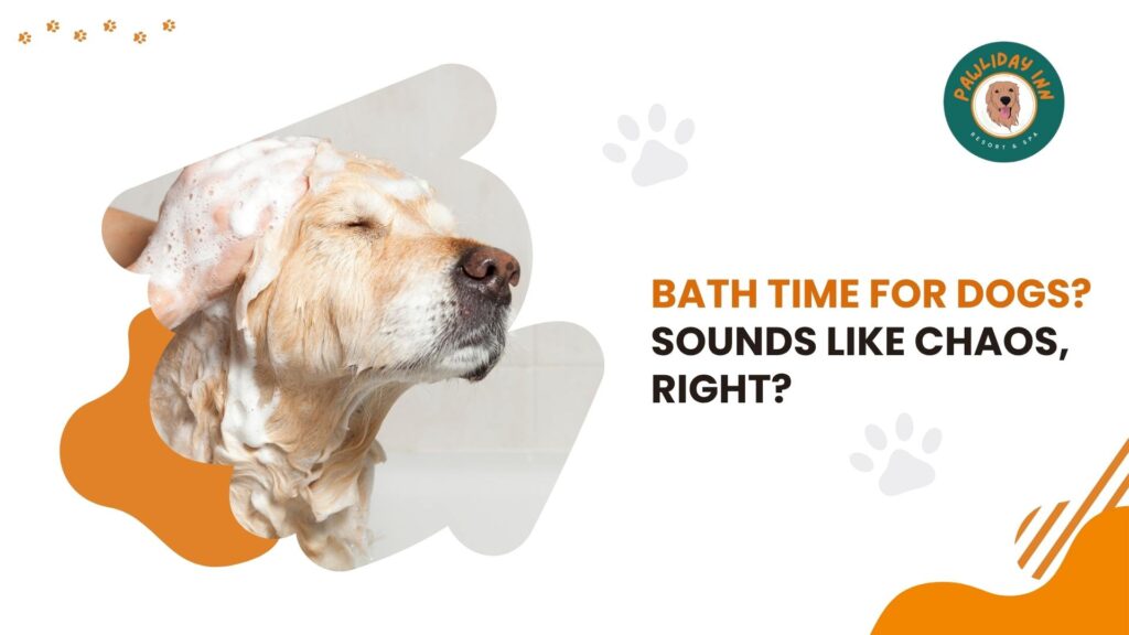 Best Grooming Service in Bangalore