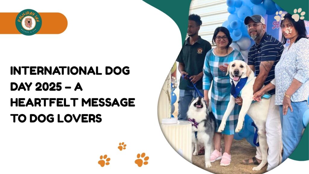 Best Dog Boarding Services In Bangalore | Pawliday Inn