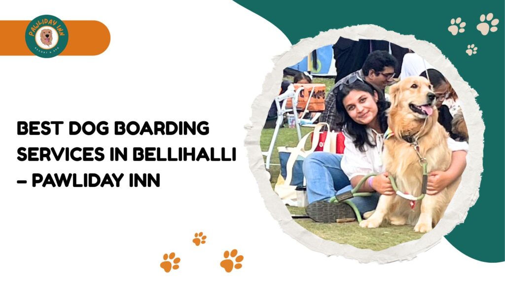 Dog Care Centre in Bellahalli | Pawliday inn