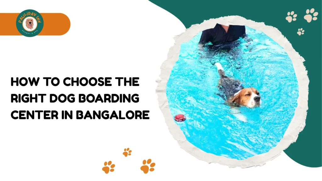 Best Dog Boarding Center in Bangalore
