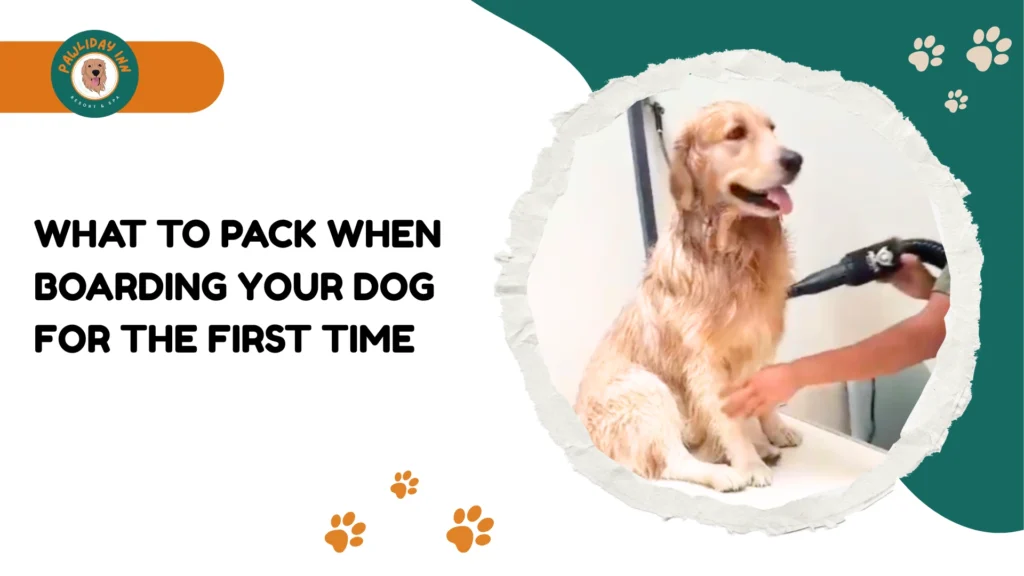 Bangalore Pet Stay