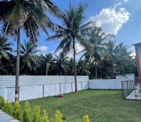 WhatsApp Image 2025-07-21 at 2.07.32 PM (2)