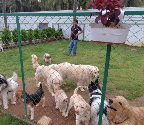 WhatsApp Image 2025-07-21 at 2.07.33 PM