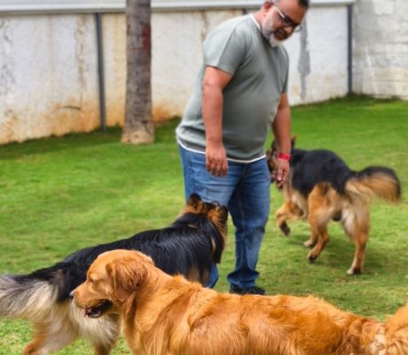 WhatsApp Image 2025-07-21 at 2.09.29 PM